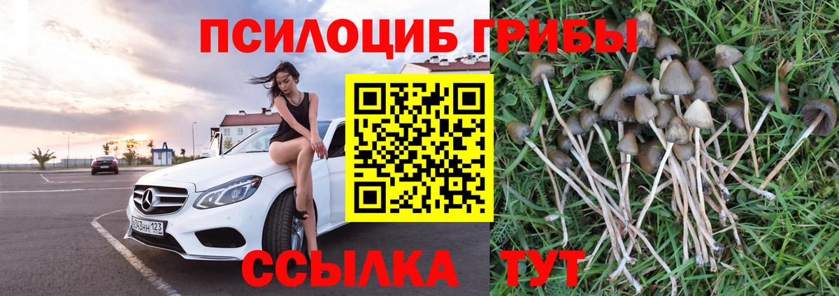 Отрадное  Псилоцибиновые грибы прущие грибы  Вход с VPN  Псилоцибиновые грибы мицелий 