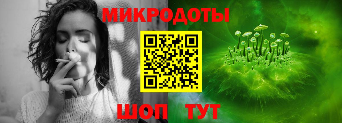 Псилоцибиновые грибы Cubensis Отрадное